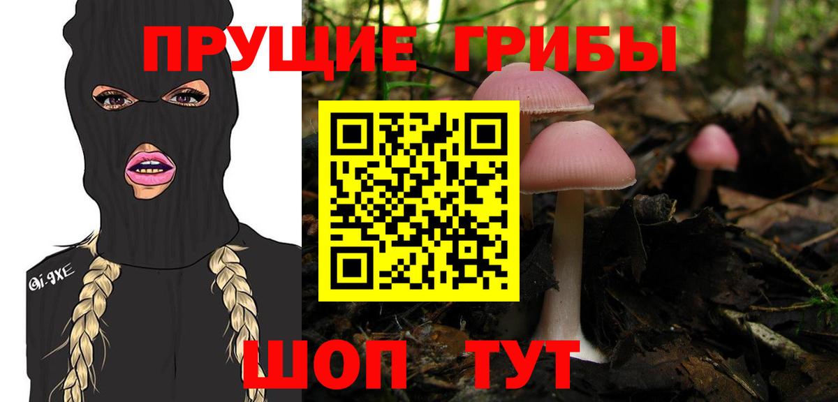 Галлюциногенные грибы GOLDEN TEACHER Копейск