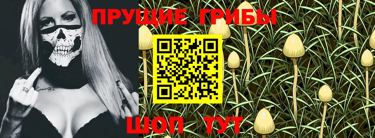 Галлюциногенные грибы Cubensis Копейск