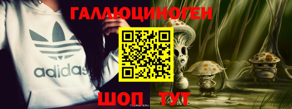 Псилоцибиновые грибы MAGIC MUSHROOMS  Галлюциногенные грибы Psilocybe  Вход с VPN  как найти закладки  Копейск 